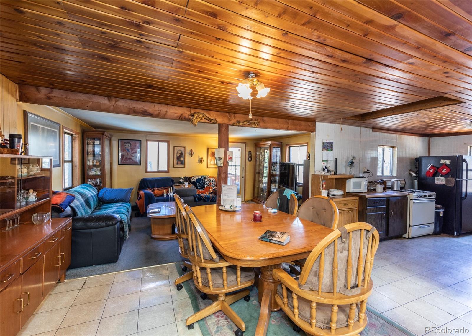 7600 Doe Valley Road Guffey, CO 80820 - Photo 5 of 36