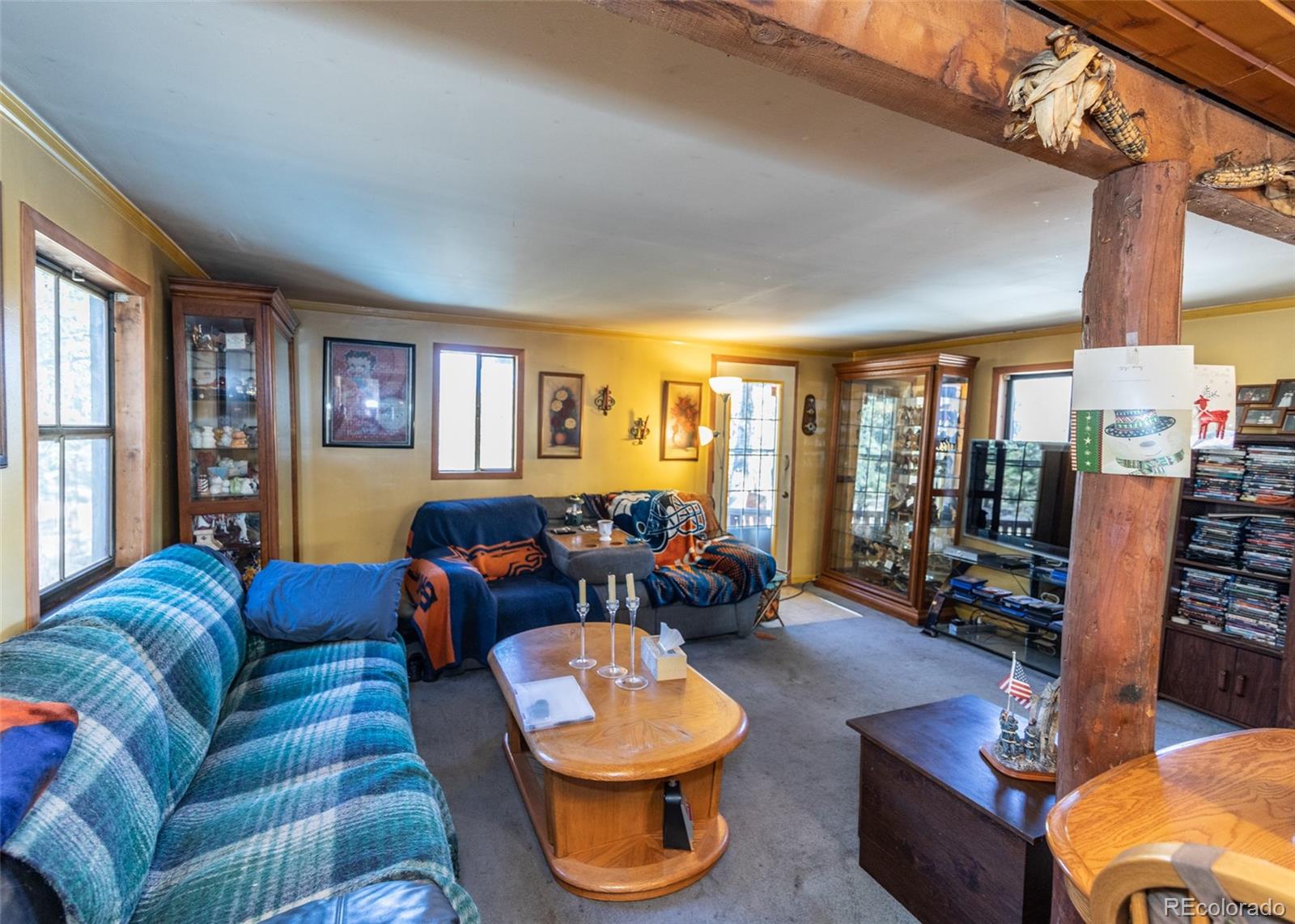 7600 Doe Valley Road Guffey, CO 80820 - Photo 8 of 36