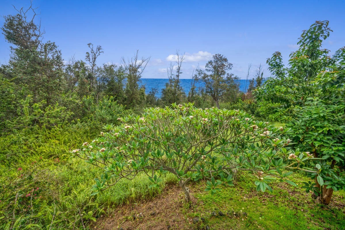 87-2885 Hawaii Belt Road Captain Cook, HI 96704 - Photo 29 of 30 Gallery Image 29