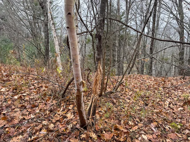 $119,900 | 68 South Strong Road, Strong, ME 04983