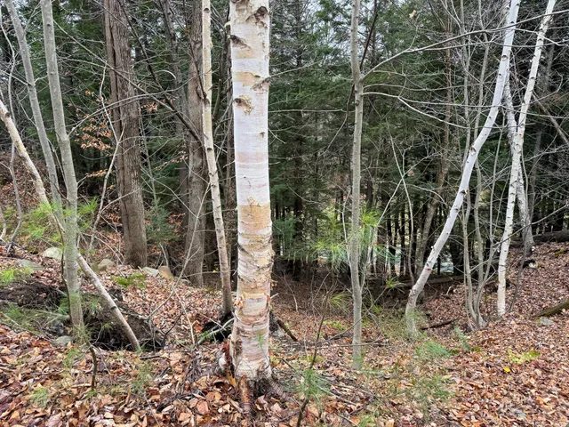 $119,900 | 68 South Strong Road, Strong, ME 04983