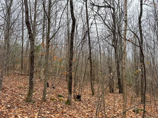 $119,900 | 68 South Strong Road, Strong, ME 04983