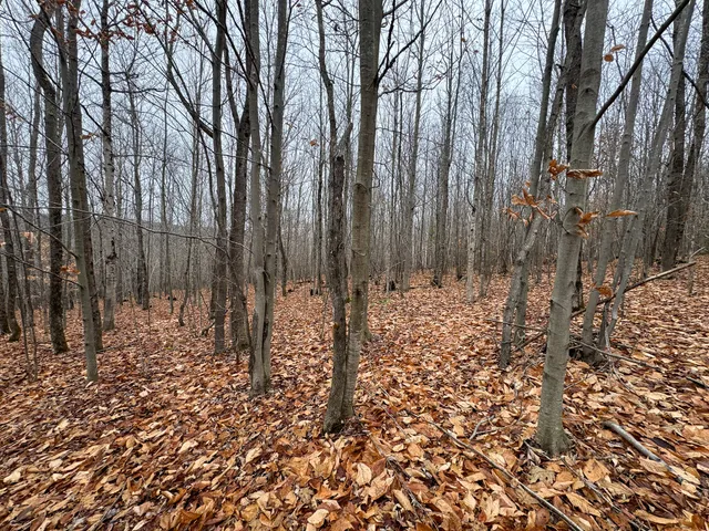 $119,900 | 68 South Strong Road, Strong, ME 04983