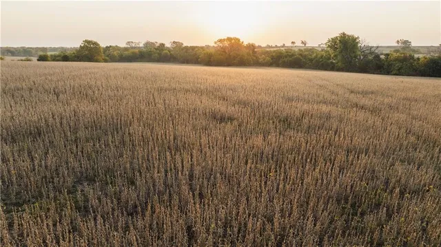 $942,991 | 3787 H Highway, Darlington, MO 64438