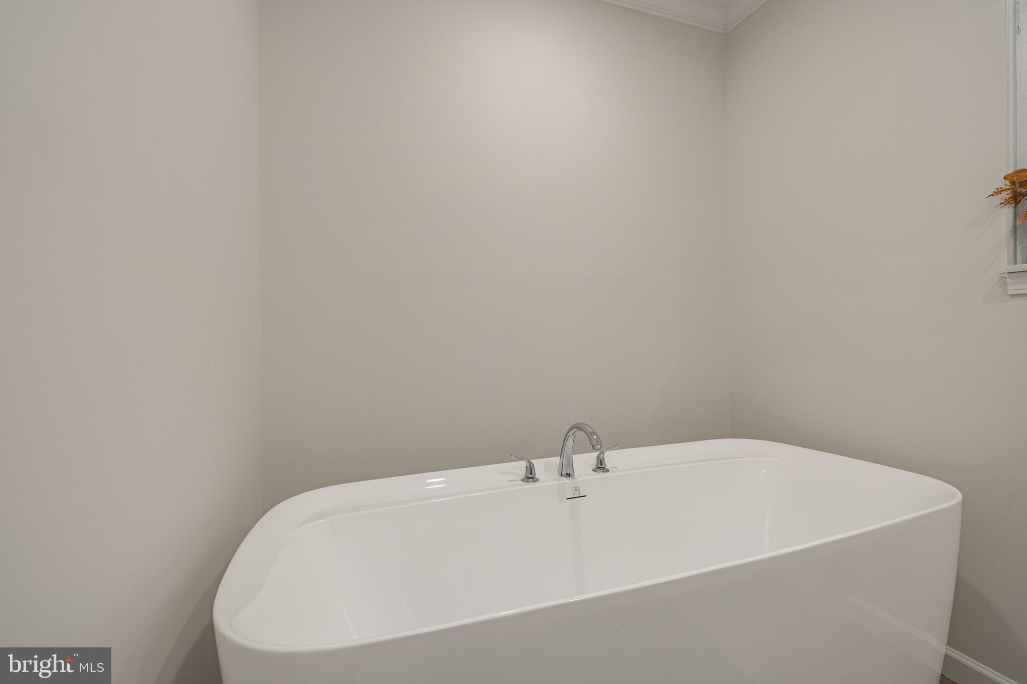 307 Larkspur Road Ruckersville, VA 22968 - Photo 46 of 72 Soaking tub