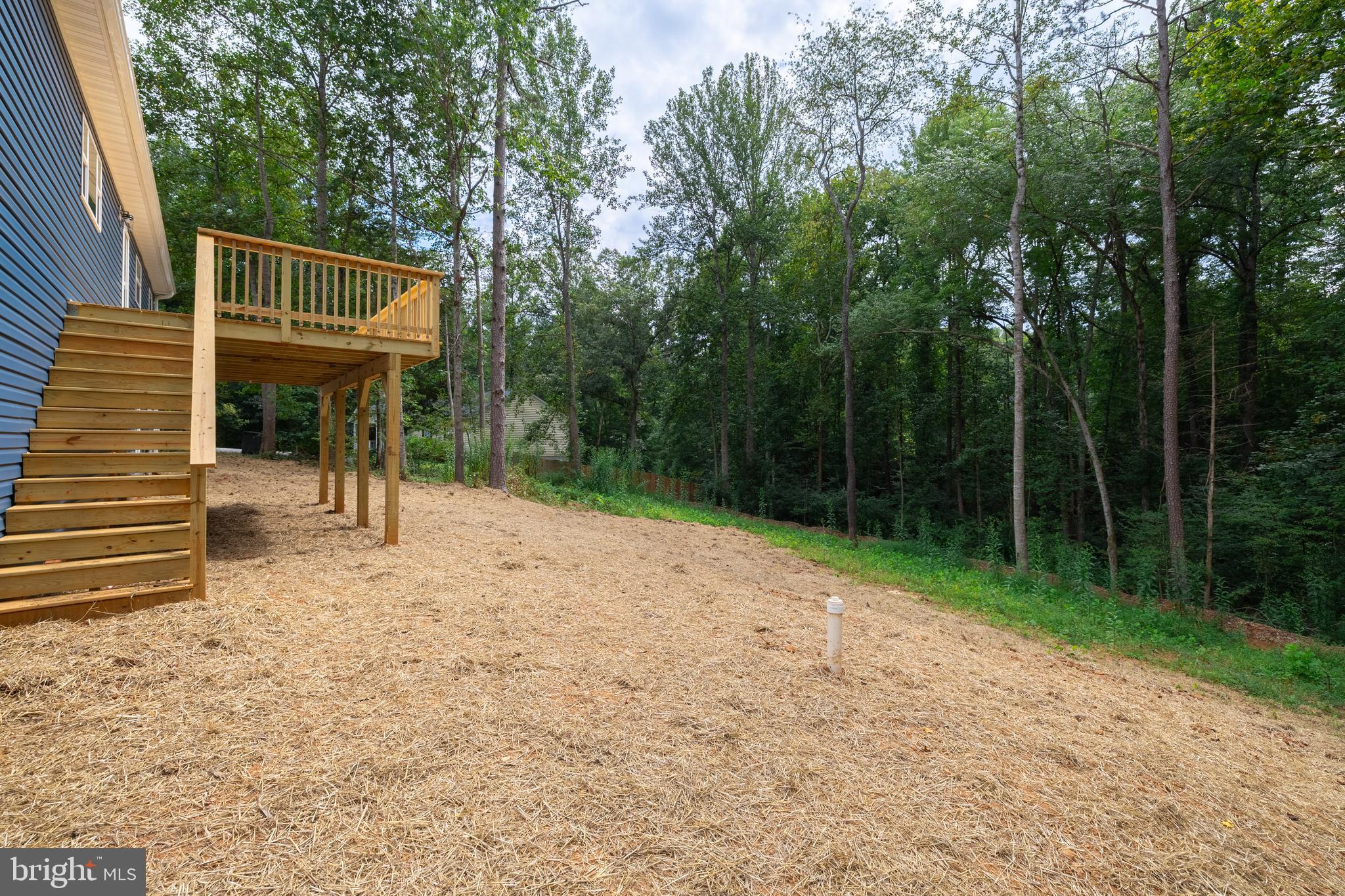 307 Larkspur Road Ruckersville, VA 22968 - Photo 56 of 72