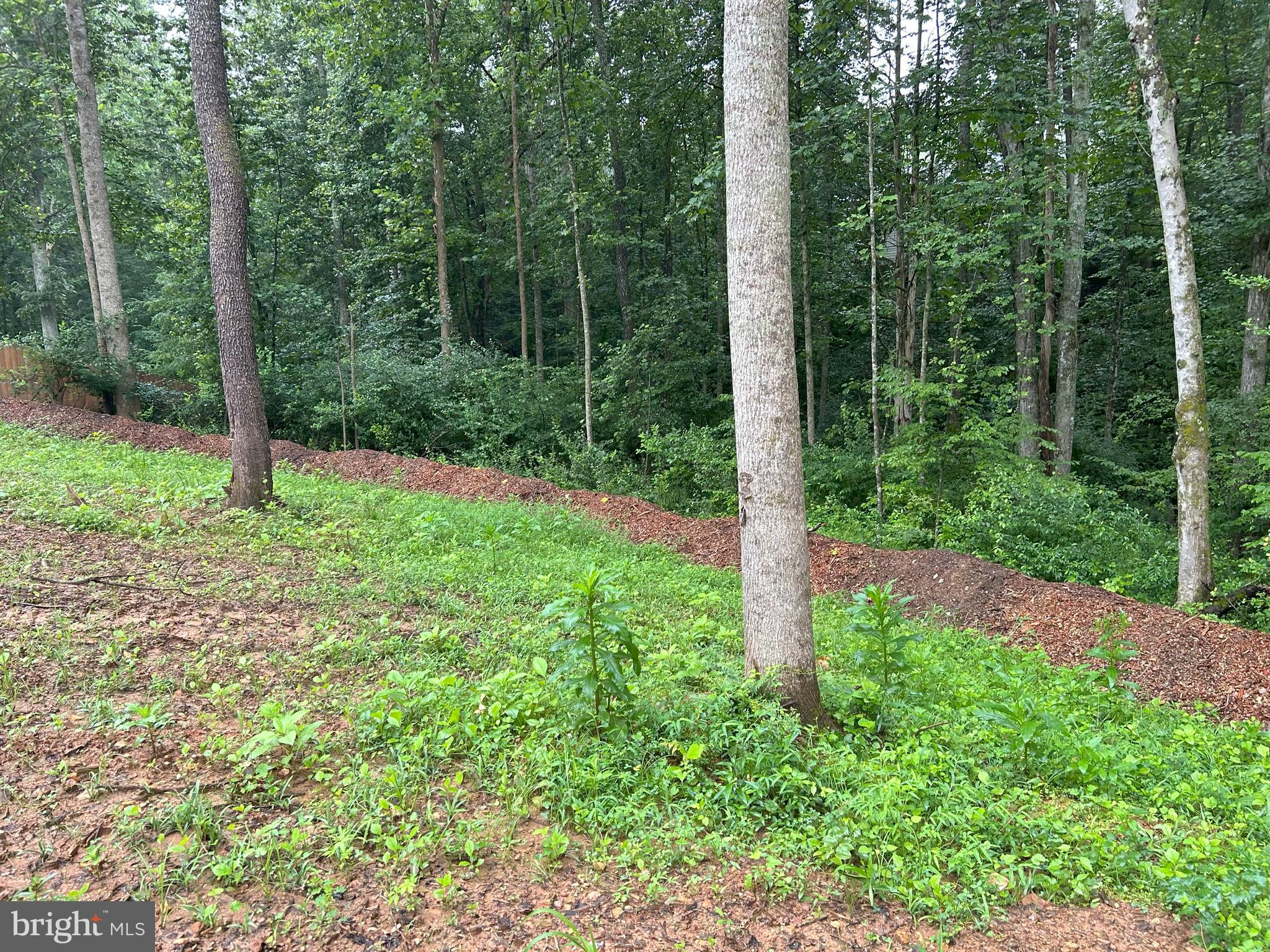 307 Larkspur Road Ruckersville, VA 22968 - Photo 57 of 72 Serene rear yard backs to wood and creek