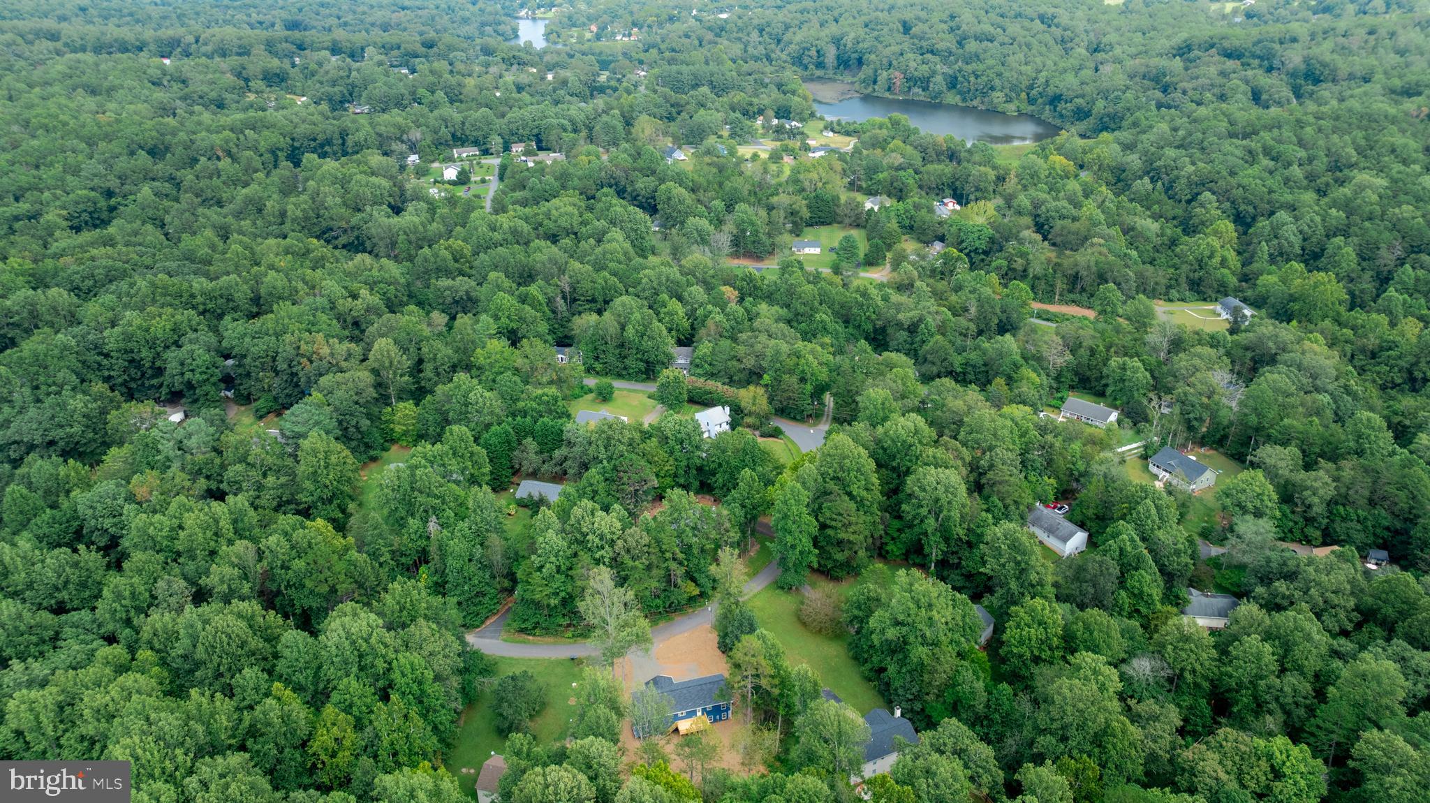 307 Larkspur Road Ruckersville, VA 22968 - Photo 10 of 72 Community lake in distance
