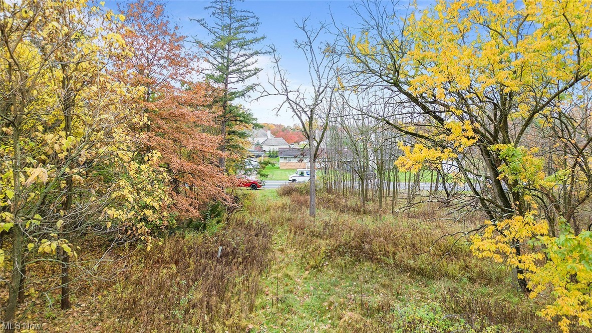 10299 Webster Road Strongsville, OH 44136 - Photo 2 of 7 View of nature. Heavily wooded setting.