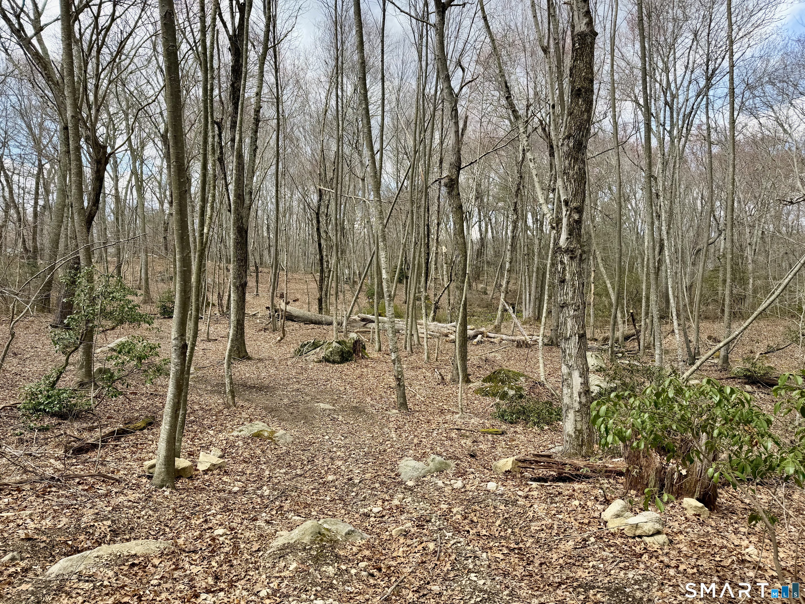 241 Niantic River Road Waterford, CT 06385 - Photo 18 of 40