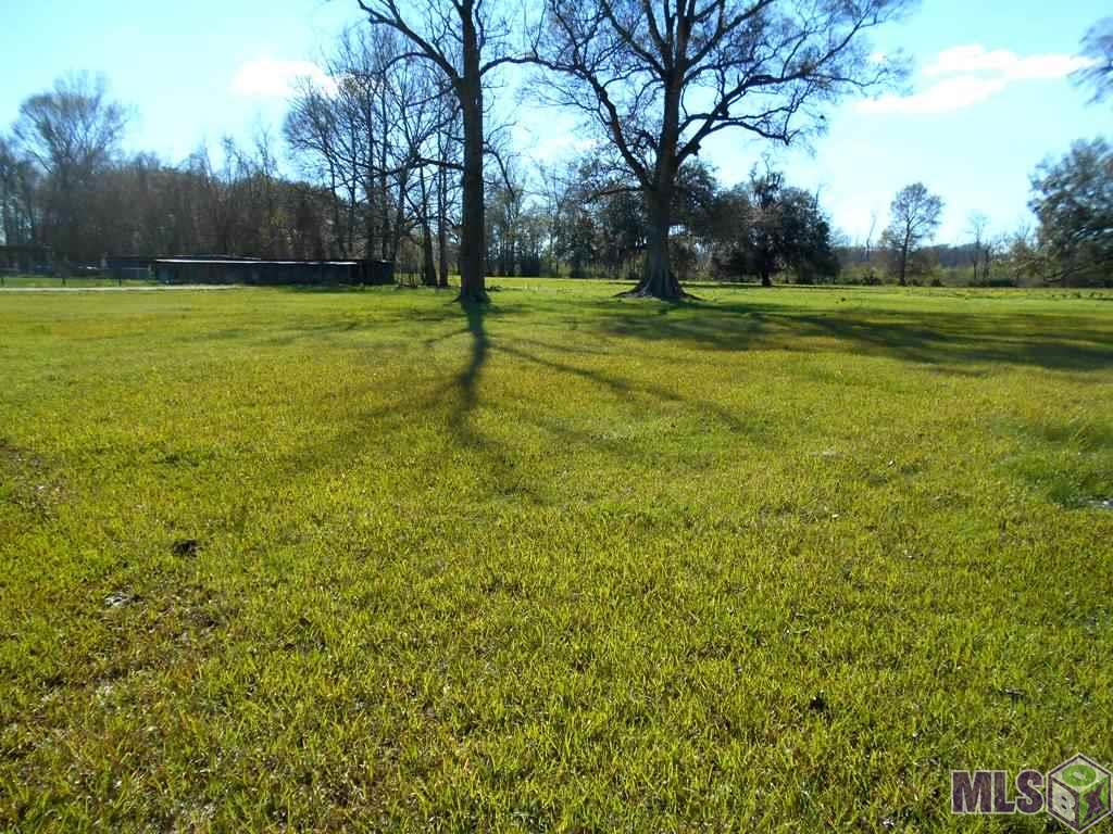 38152 H Armond Road Geismar, LA 70734 - Photo 20 of 26 Side Yard - Nearly an Acre!