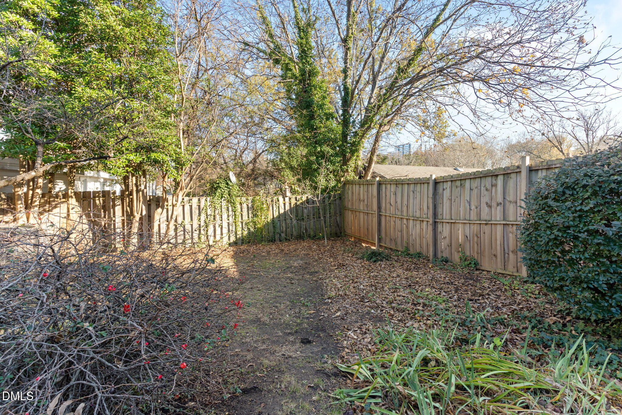 709 West North Street Raleigh, NC 27603 - Photo 33 of 42 a view of backyard with green space
