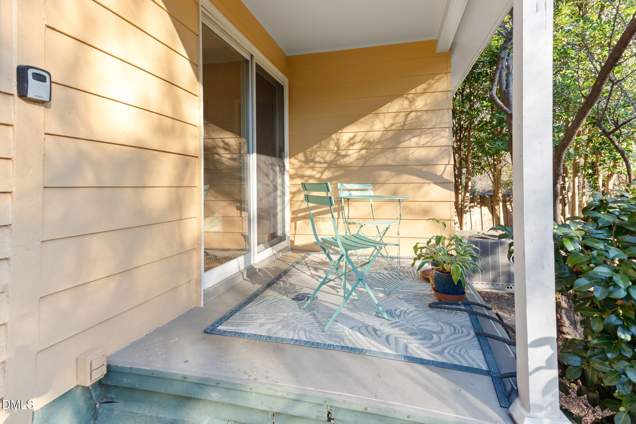 709 West North Street Raleigh, NC 27603 - Photo 35 of 42 a view of a potted plant on a floor
