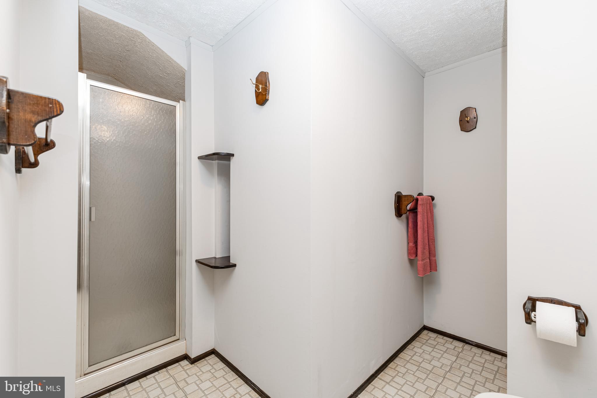 6550 Tip Hill Drive La Plata, MD 20646 - Photo 21 of 24 a bathroom with a shower