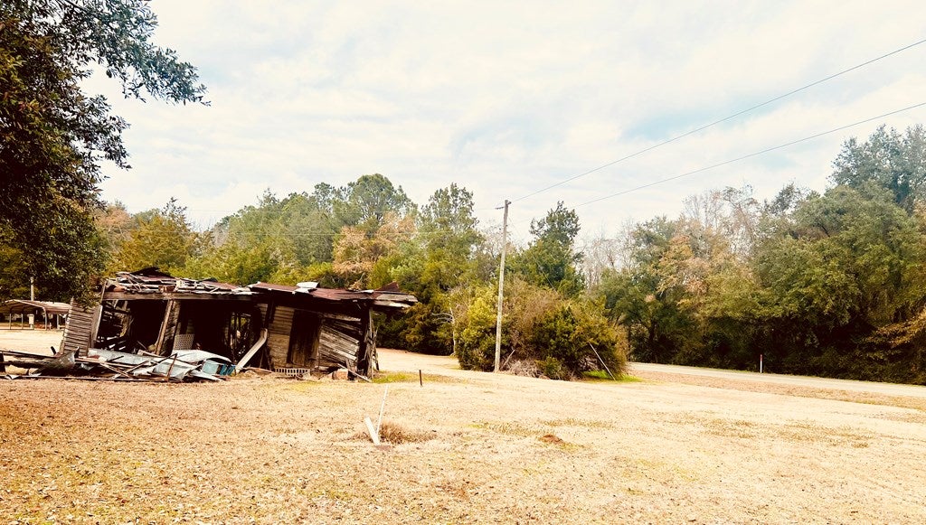 3.97-acr Beaty Road Pavo, GA 31778 - Photo 14 of 37 Gallery Image 14