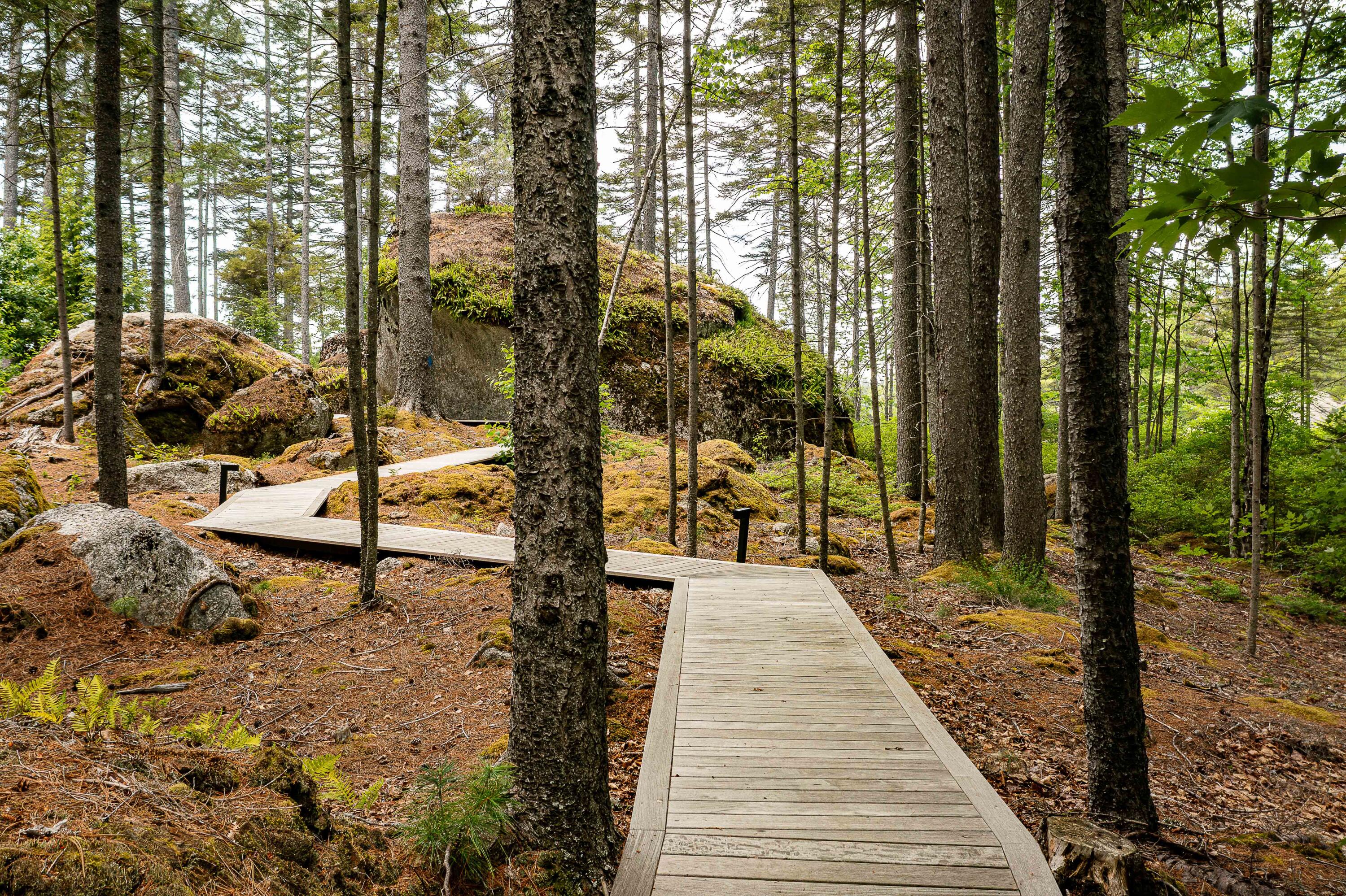12 Moose Tuchus Point Dedham, ME 04429 - Photo 7 of 66 Walkway From Guest Parking