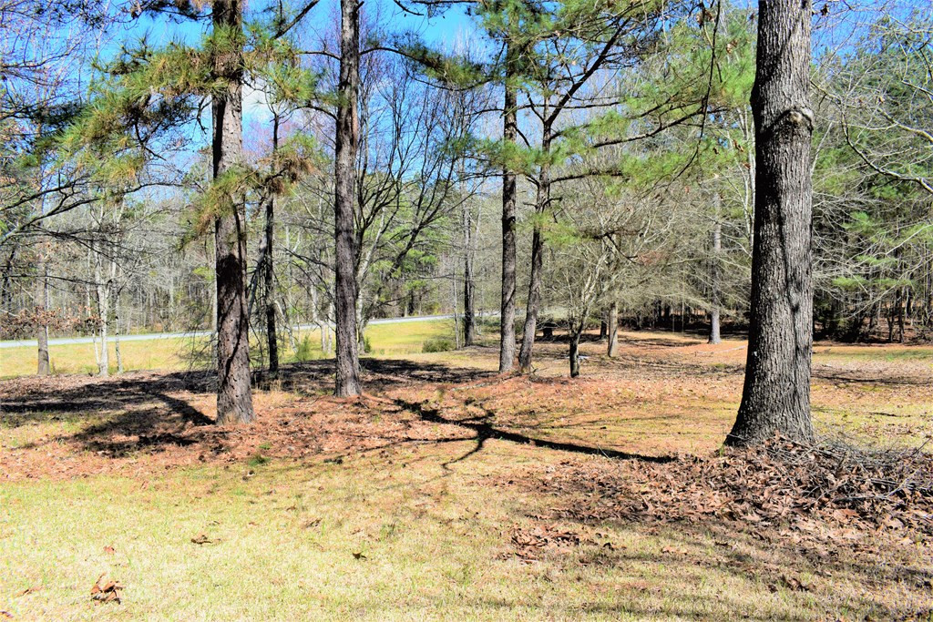 1080 Colvin - Kennedy Road Lincolnton, GA 30817 - Photo 32 of 36 Gallery Image 32