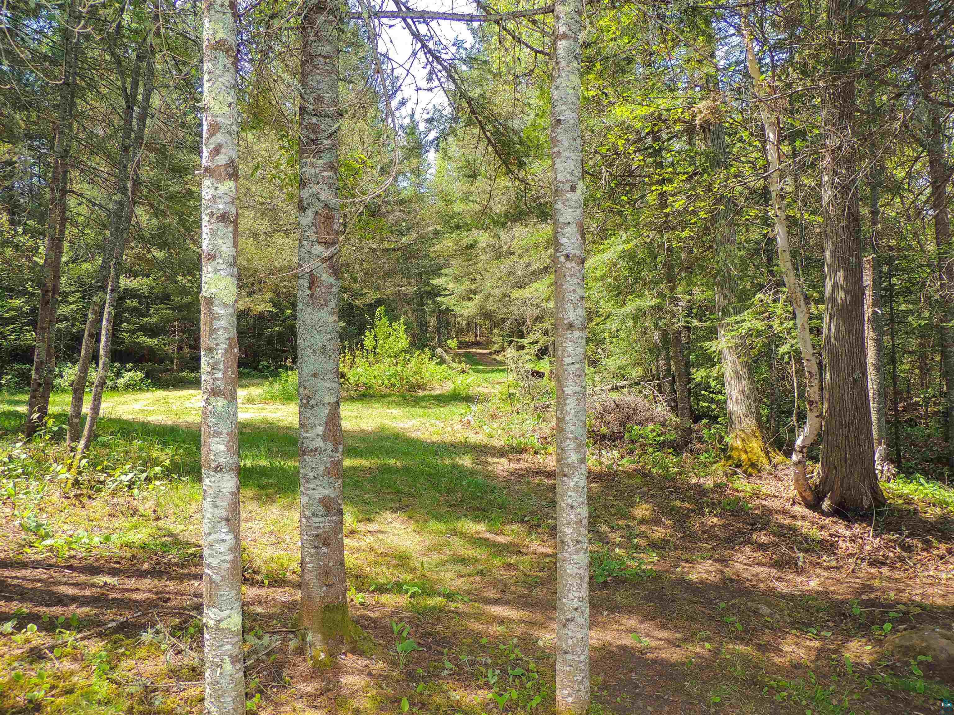 38 Christine Point Road Lutsen, MN 55612 - Photo 37 of 37