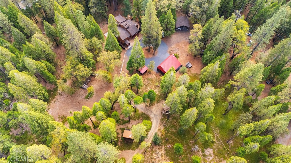 25833 Lyons Dam Road Twain Harte, CA 95383 - Photo 65 of 67