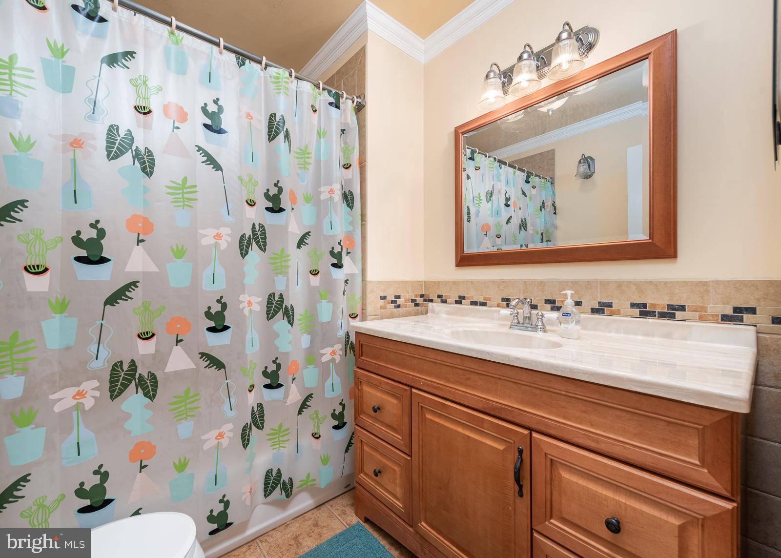 6830 Richardson Road Baltimore, MD 21207 - Photo 6 of 22 Full bathroom on main level