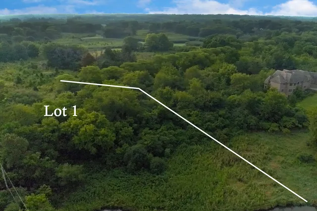 a view of a forest with a yard