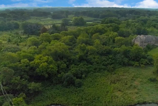 a view of a lush green forest with lots of trees