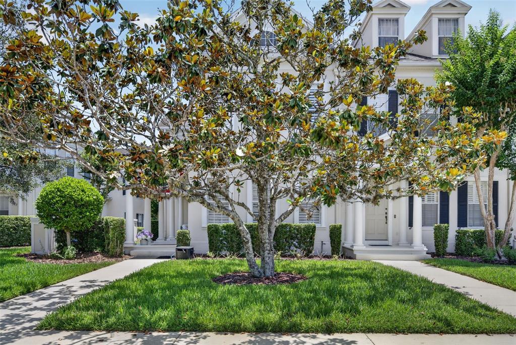 331 Celebration Boulevard Celebration, FL 34747 - Photo 40 of 46