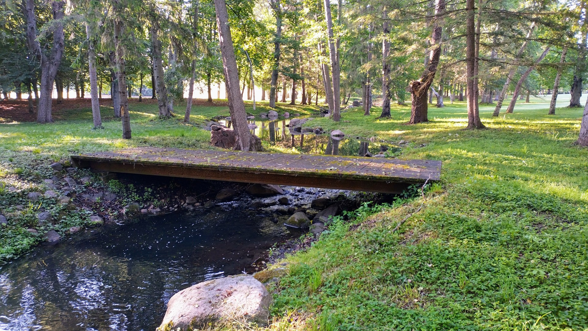 Int Irish Ln And Lincoln Road Harvard, IL 60033 - Photo 11 of 21