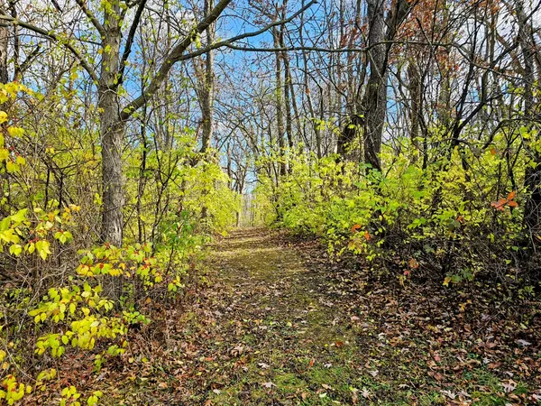 $795,000 | Int Irish Ln And Lincoln Road, Harvard, IL 60033