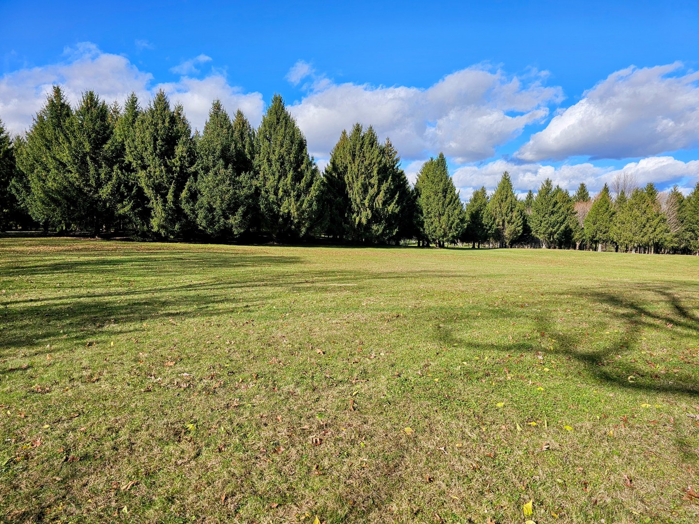 Int Irish Ln And Lincoln Road Harvard, IL 60033 - Photo 16 of 21