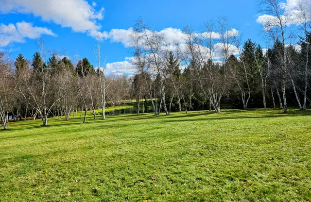 a view of an ocean from a yard