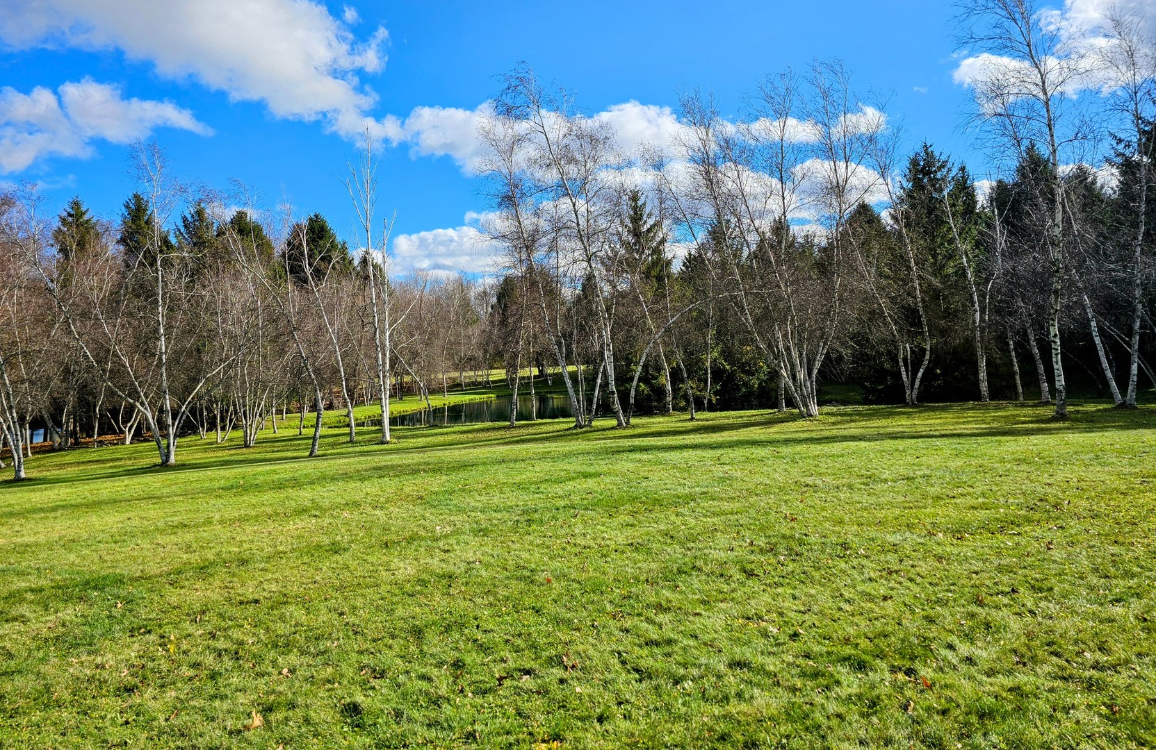 Int Irish Ln And Lincoln Road Harvard, IL 60033 - Photo 18 of 21