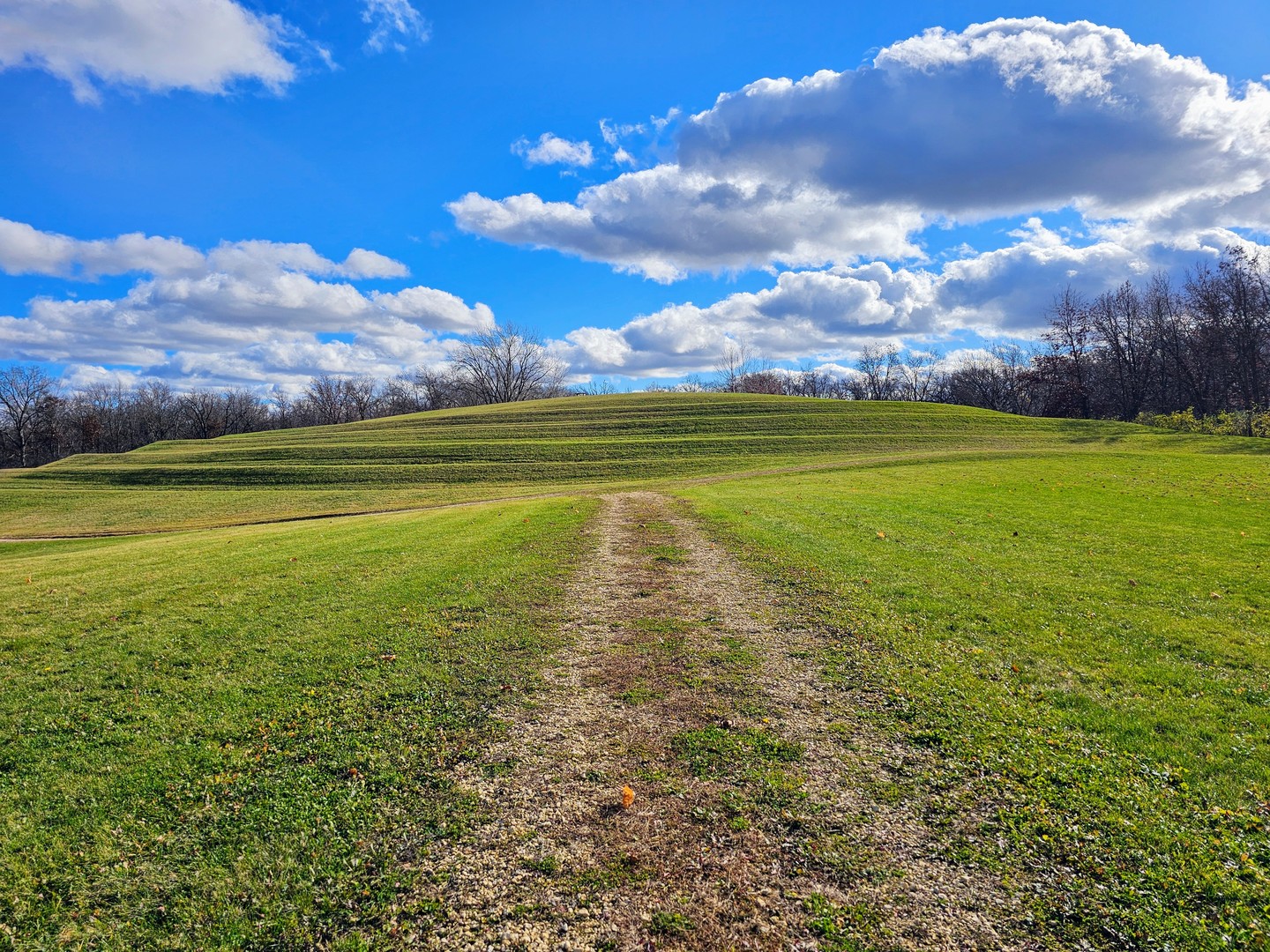 Int Irish Ln And Lincoln Road Harvard, IL 60033 - Photo 19 of 21