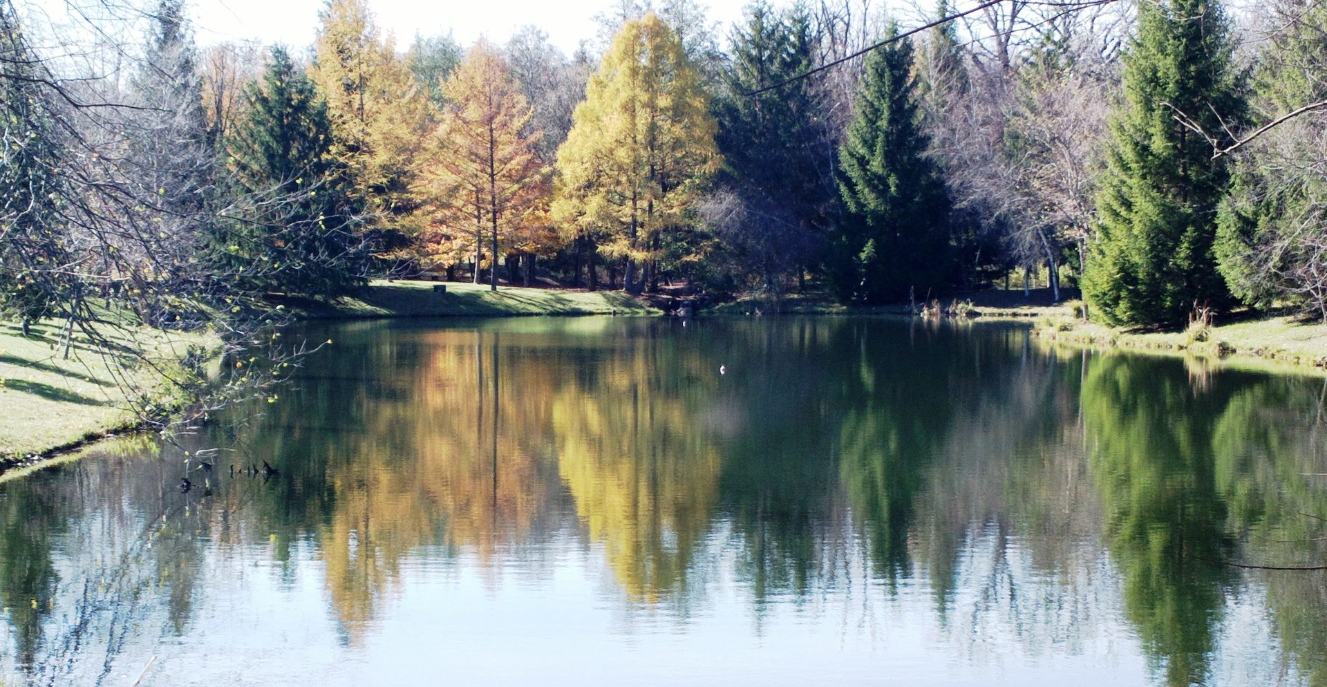 Int Irish Ln And Lincoln Road Harvard, IL 60033 - Photo 5 of 21