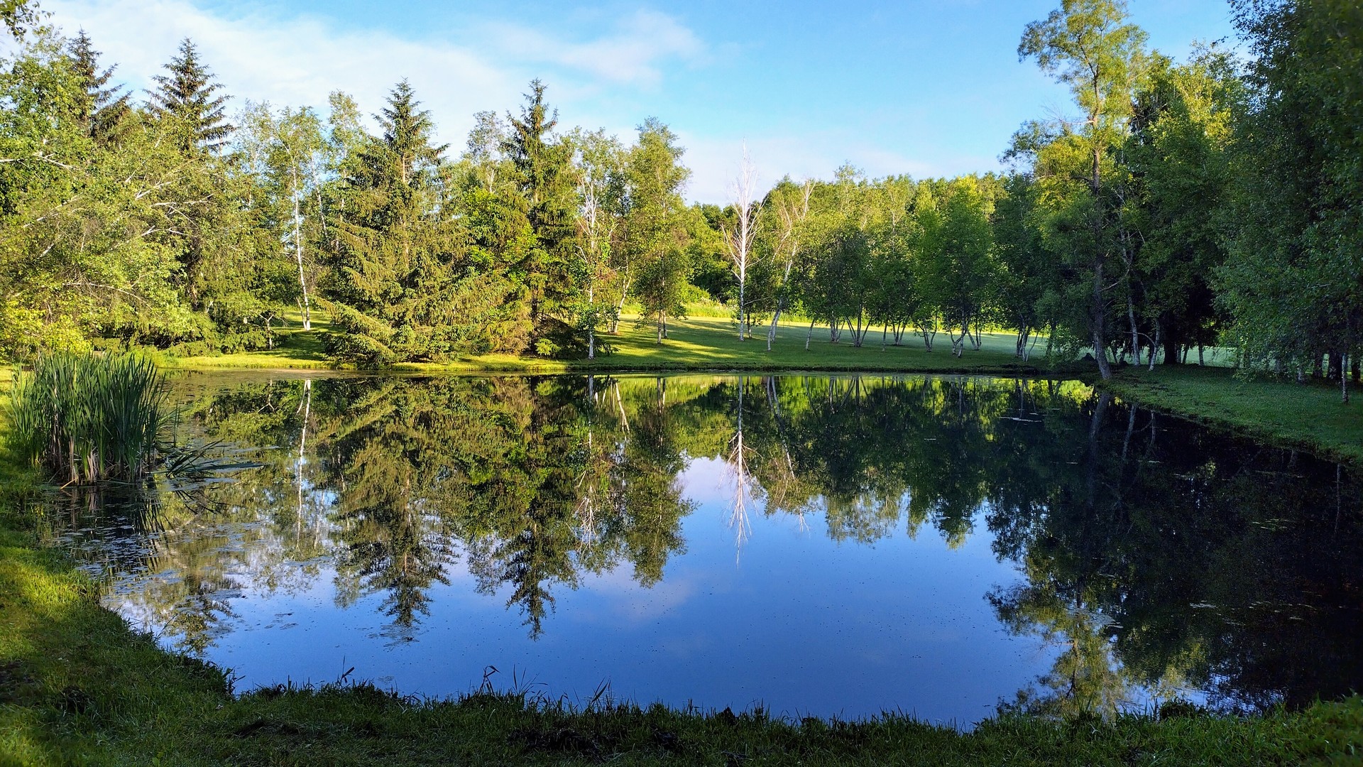 Int Irish Ln And Lincoln Road Harvard, IL 60033 - Photo 6 of 21