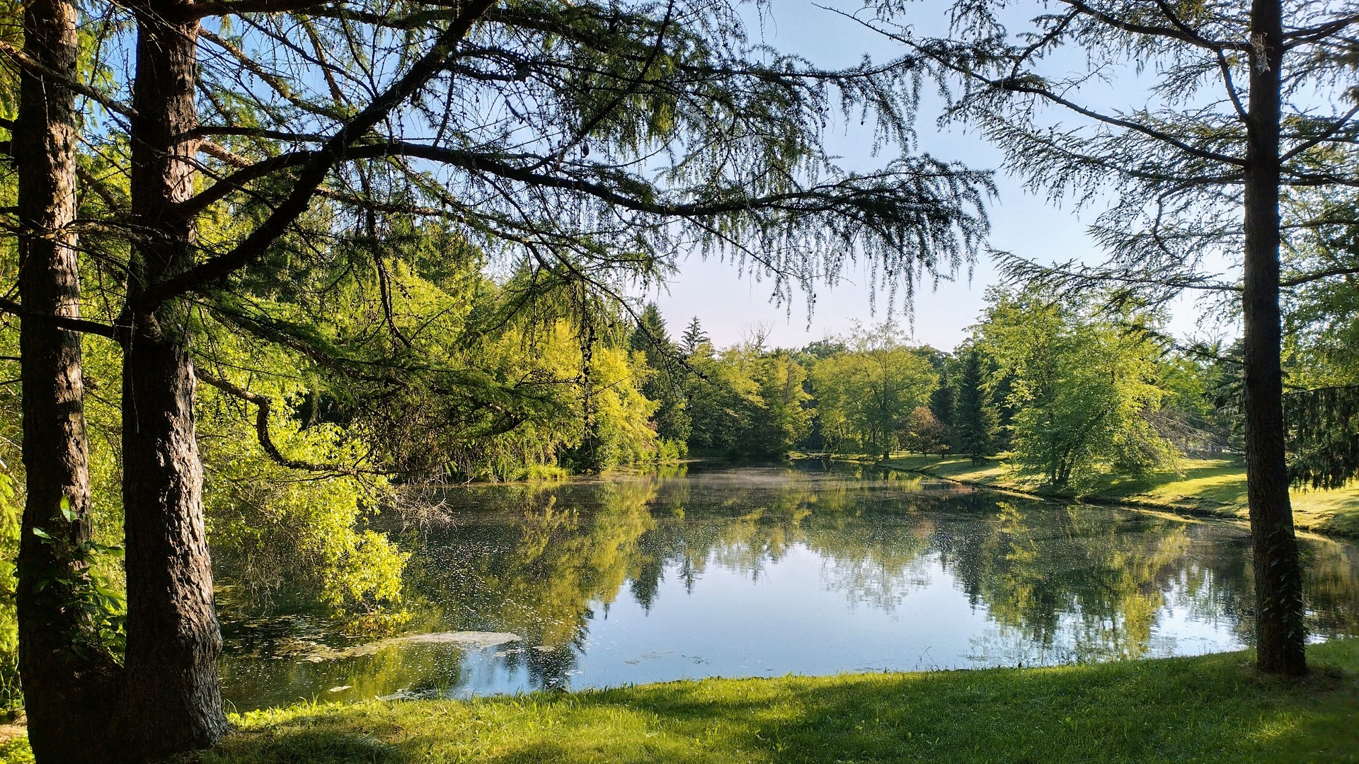 Int Irish Ln And Lincoln Road Harvard, IL 60033 - Photo 8 of 21