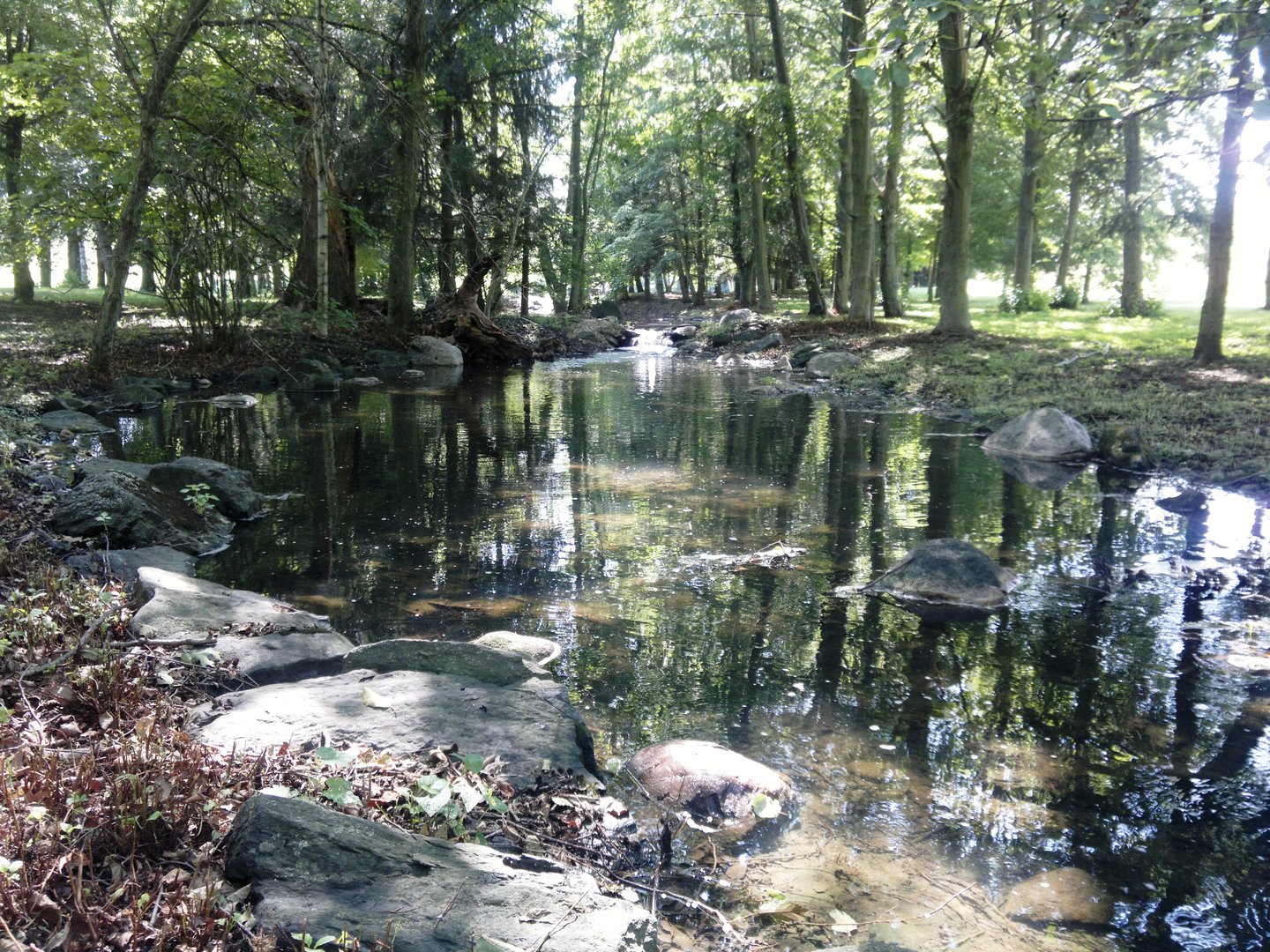 Int Irish Ln And Lincoln Road Harvard, IL 60033 - Photo 10 of 21