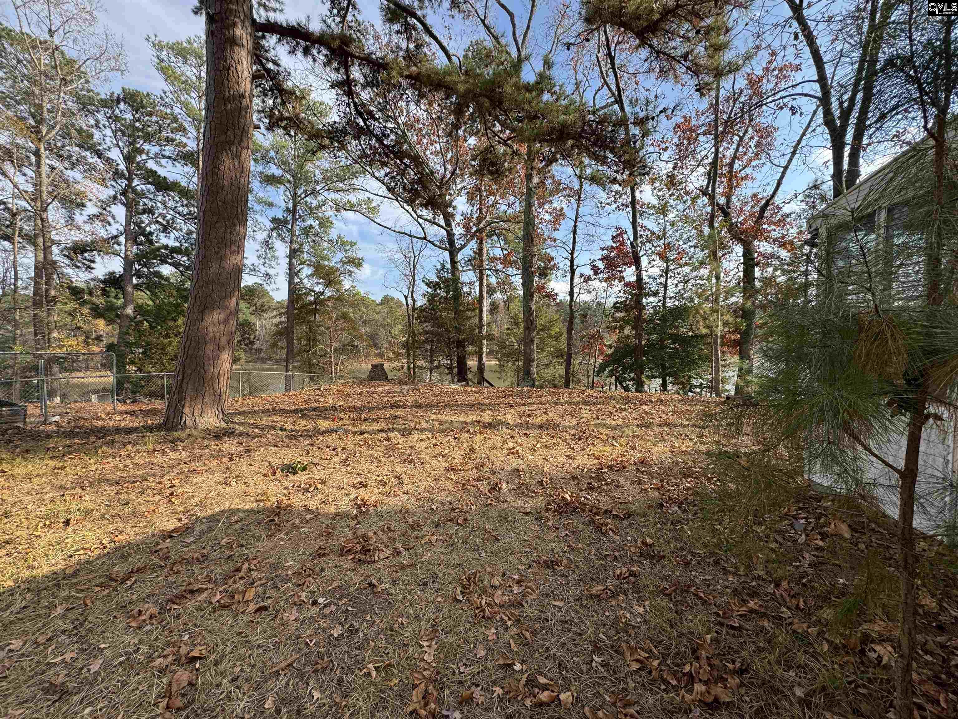 1403 Westshore Drive Ridgeway, SC 29130 - Photo 12 of 21