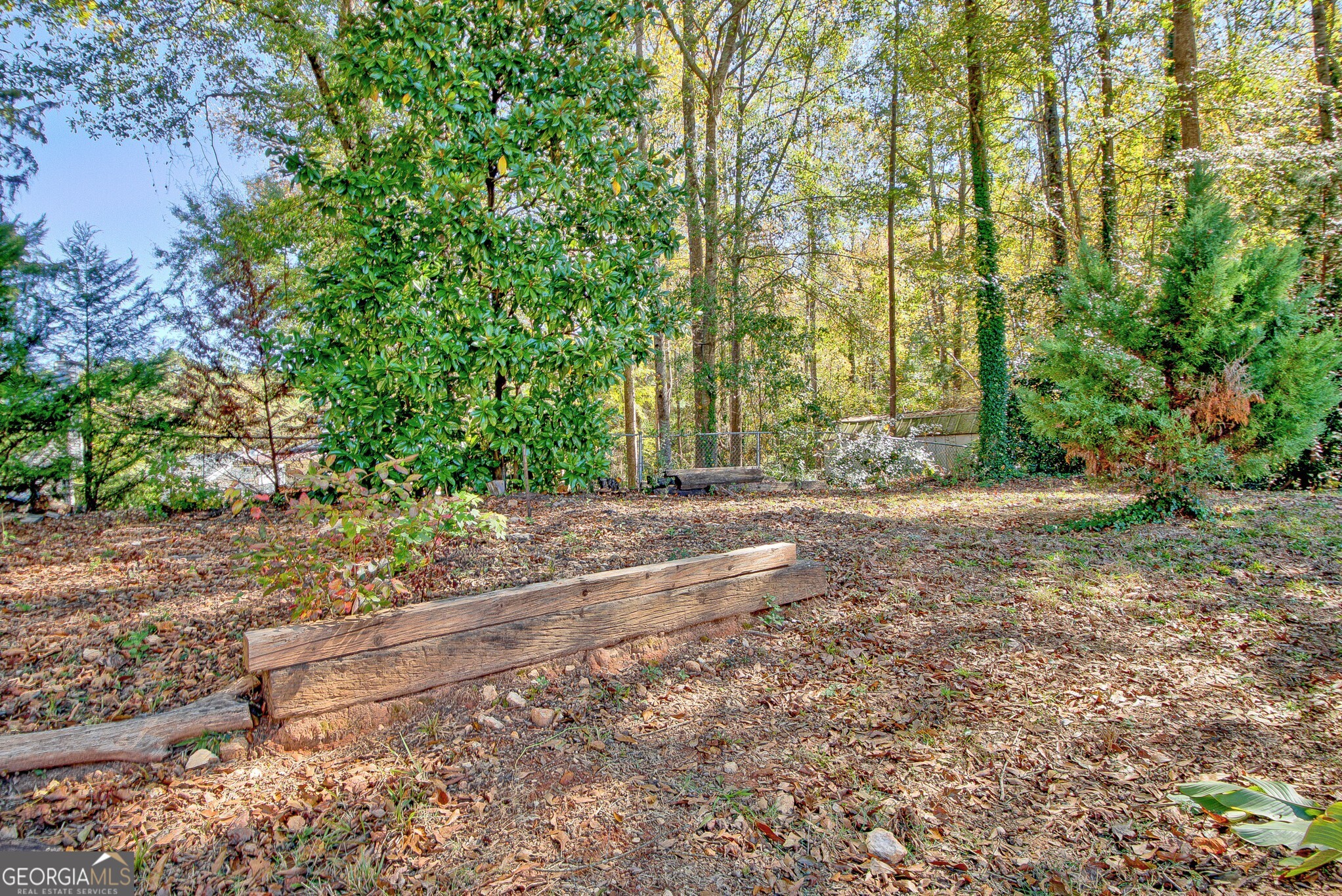 2040 Elm Grove Lane Hampton, GA 30228 - Photo 34 of 38 a view of a yard with plants and trees