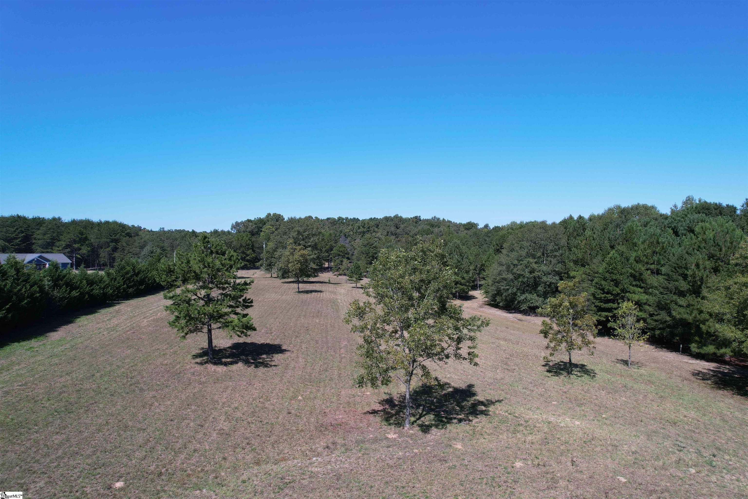 0 Major Road Piedmont, SC 29673 - Photo 11 of 17