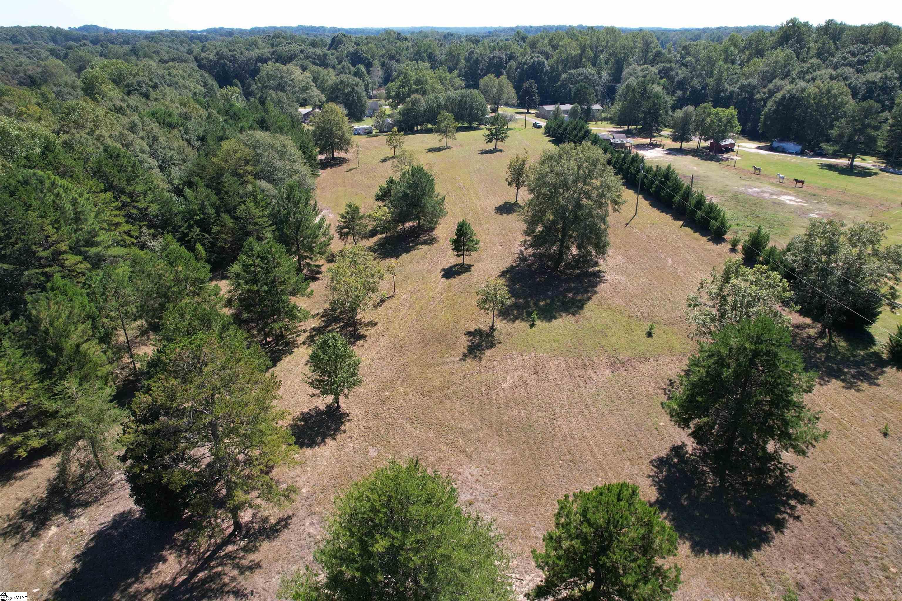 0 Major Road Piedmont, SC 29673 - Photo 12 of 17