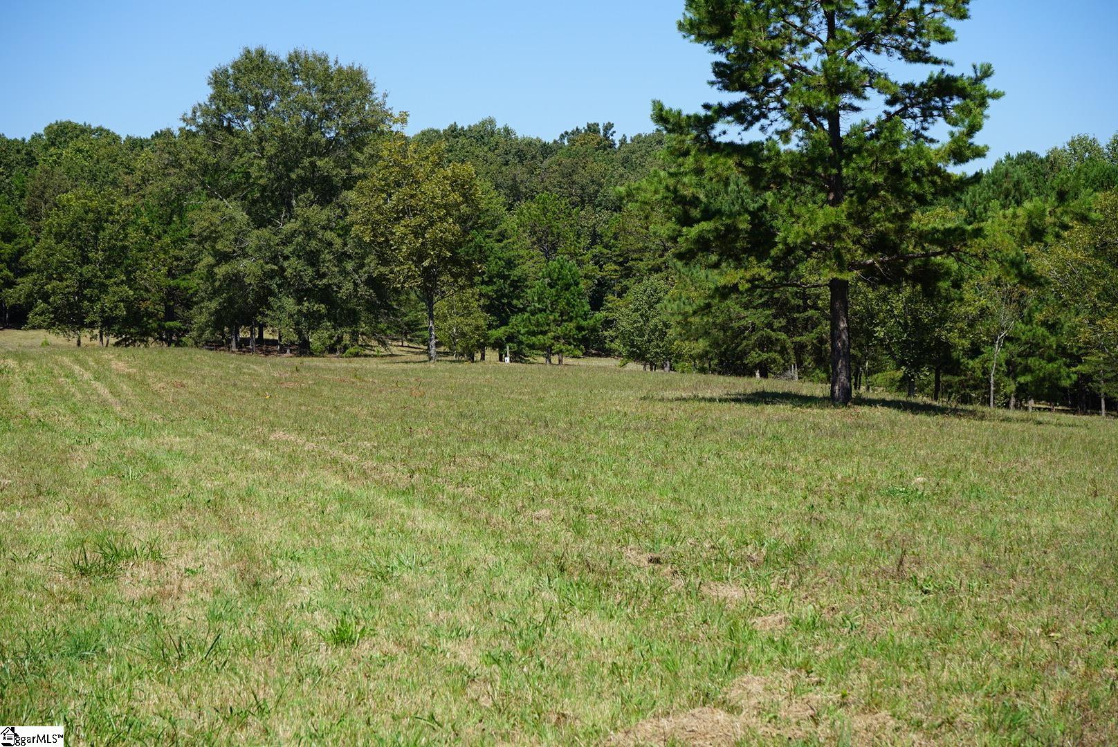 0 Major Road Piedmont, SC 29673 - Photo 4 of 17