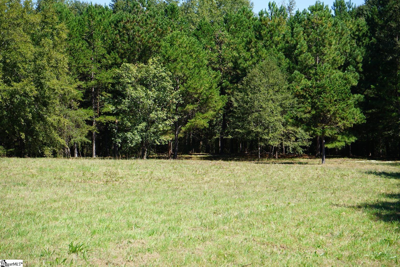 0 Major Road Piedmont, SC 29673 - Photo 5 of 17