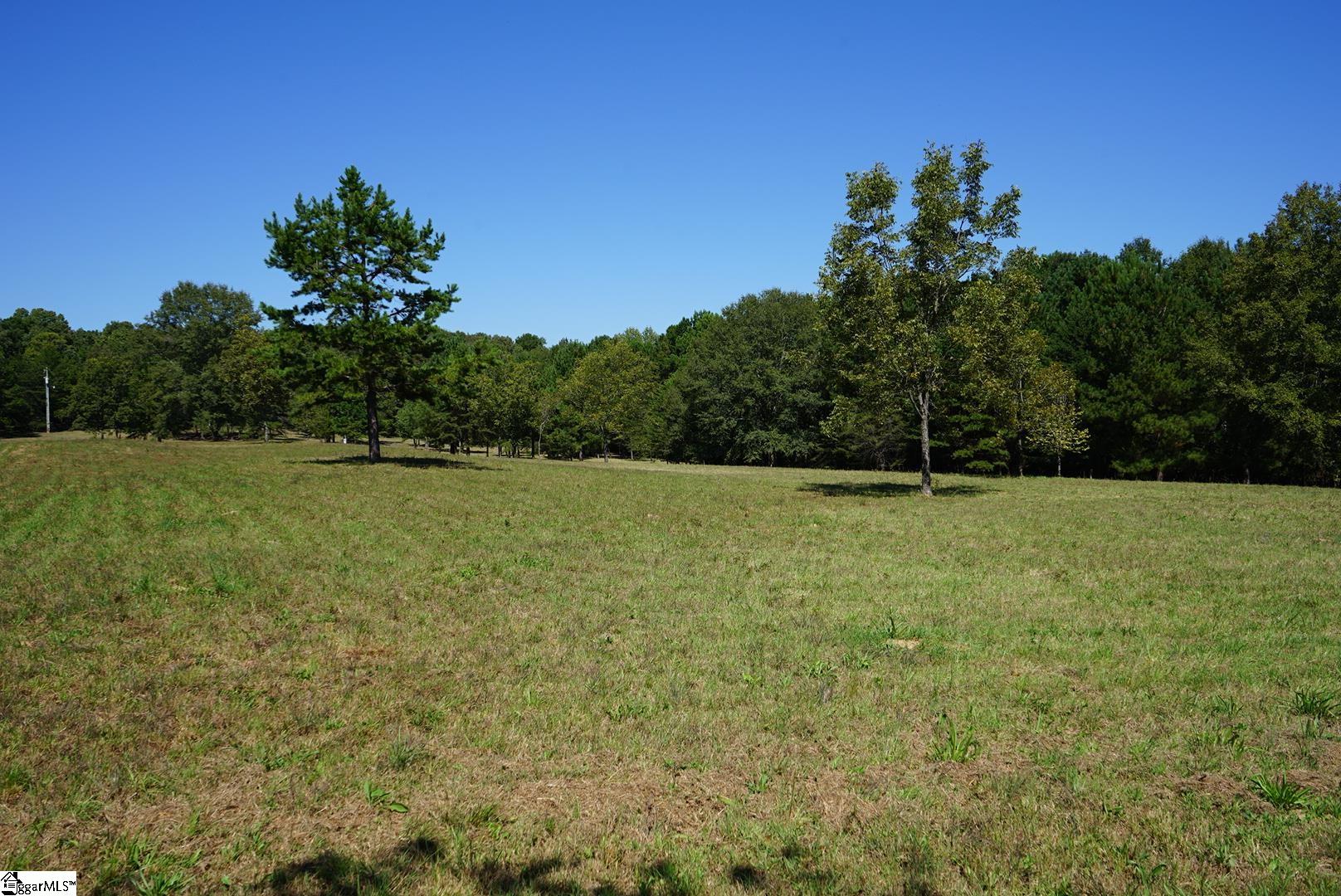 0 Major Road Piedmont, SC 29673 - Photo 6 of 17