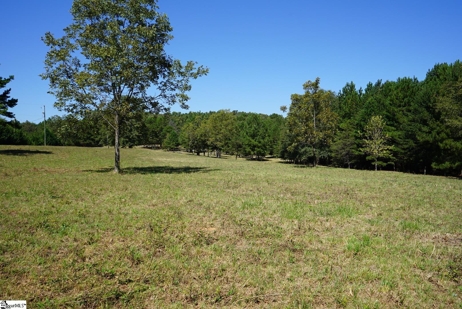 0 Major Road Piedmont, SC 29673 - Photo 7 of 17