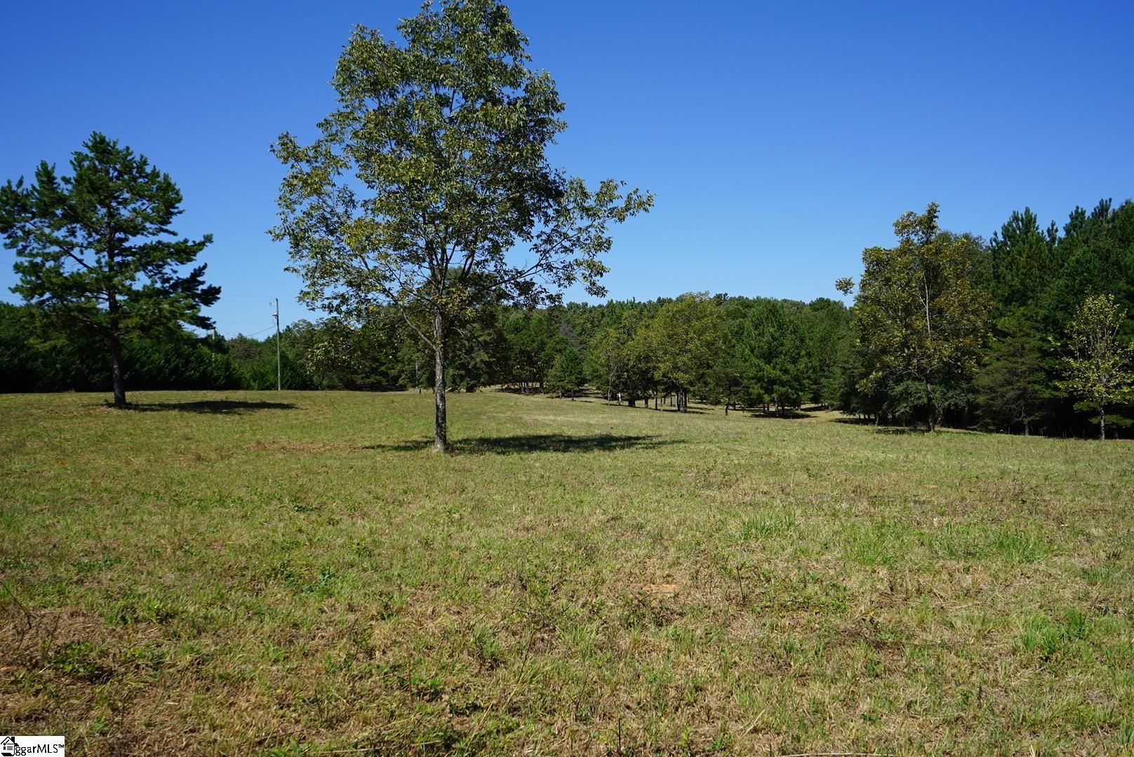 0 Major Road Piedmont, SC 29673 - Photo 8 of 17