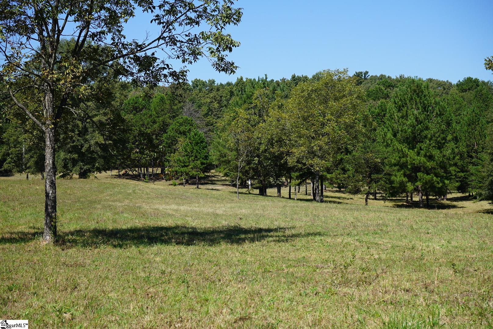 0 Major Road Piedmont, SC 29673 - Photo 9 of 17