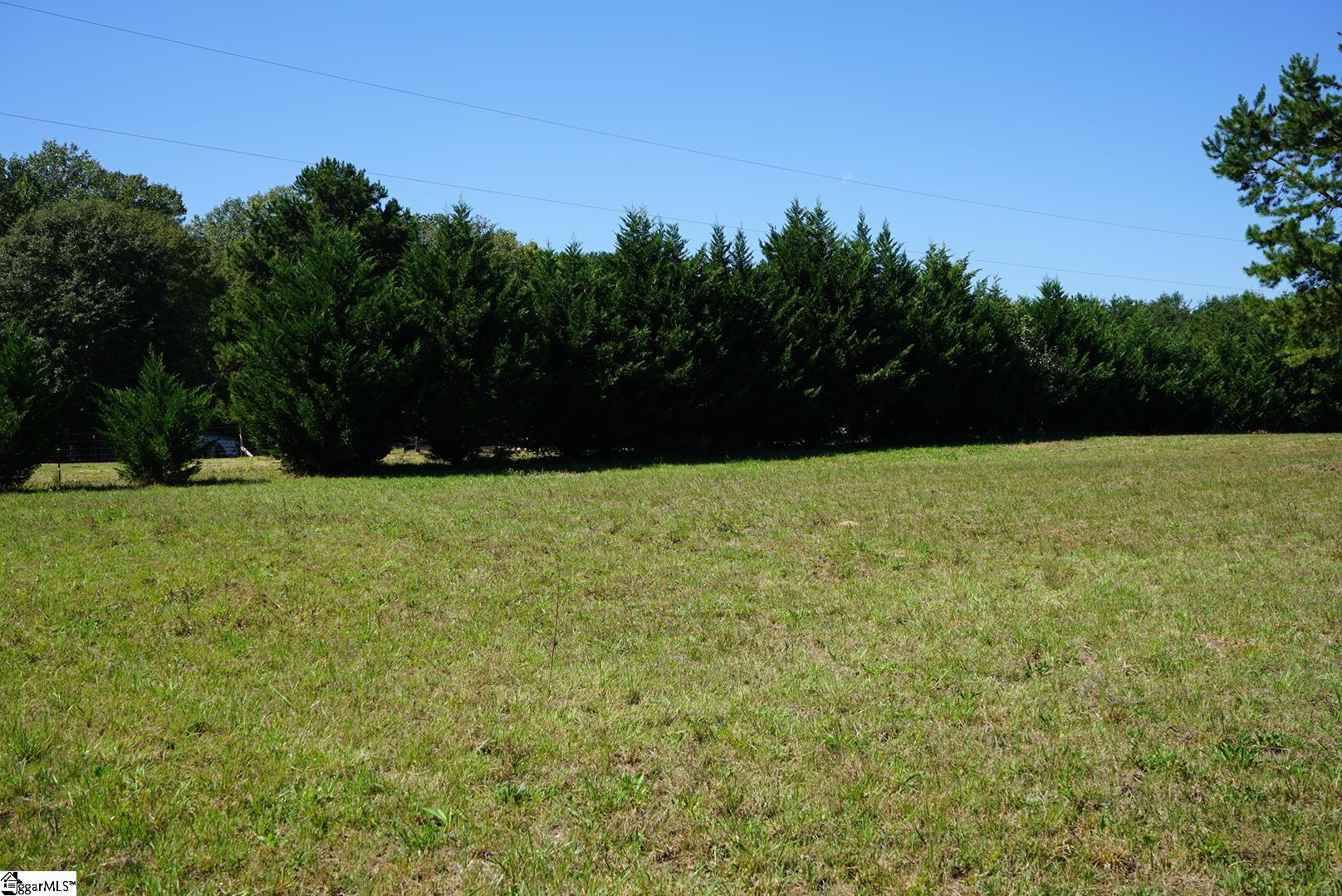 0 Major Road Piedmont, SC 29673 - Photo 10 of 17