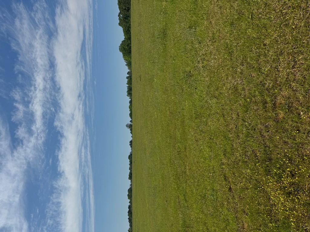 0 Valley Road Lumpkin, GA 31815 - Photo 2 of 3