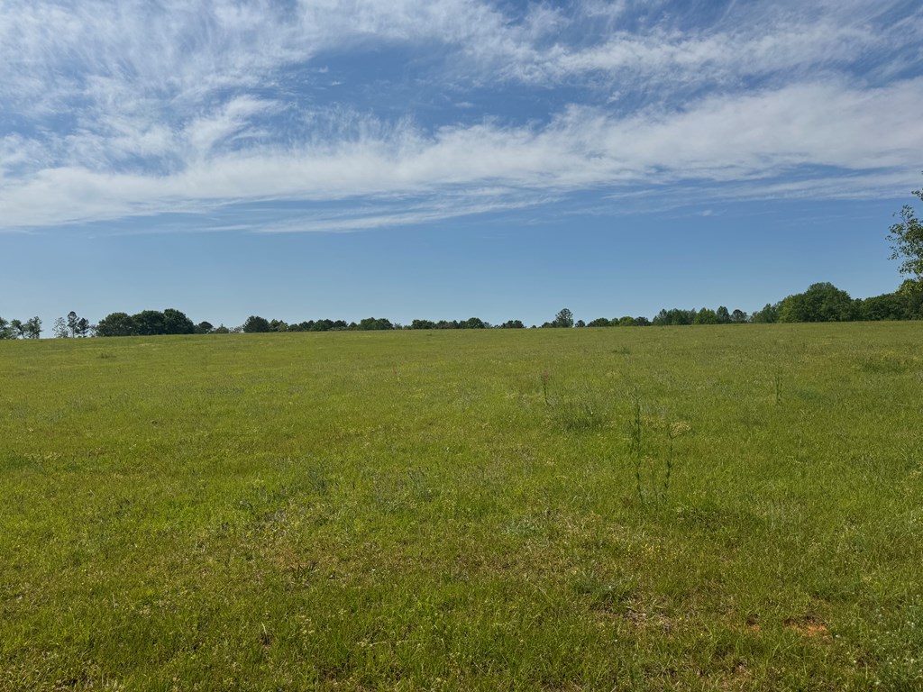 0 Valley Road Lumpkin, GA 31815 - Photo 3 of 3